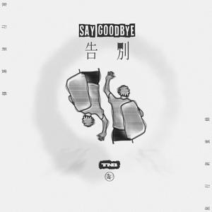 麻豆视频国产精品
