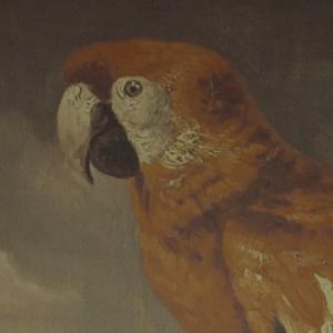 麻豆视频国产精品
