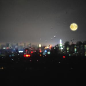 麻豆视频国产精品
