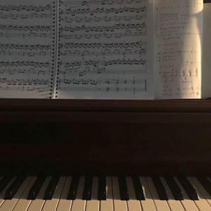 麻豆视频国产精品
