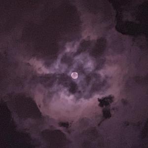 麻豆视频国产精品
